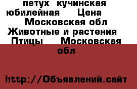 петух  кучинская  юбилейная . › Цена ­ 700 - Московская обл. Животные и растения » Птицы   . Московская обл.